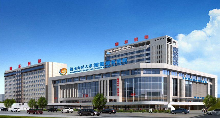 其中主任医师